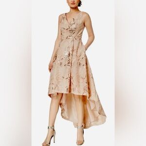 Calvin Klein Sequin Lace High-Low Dress in Cream